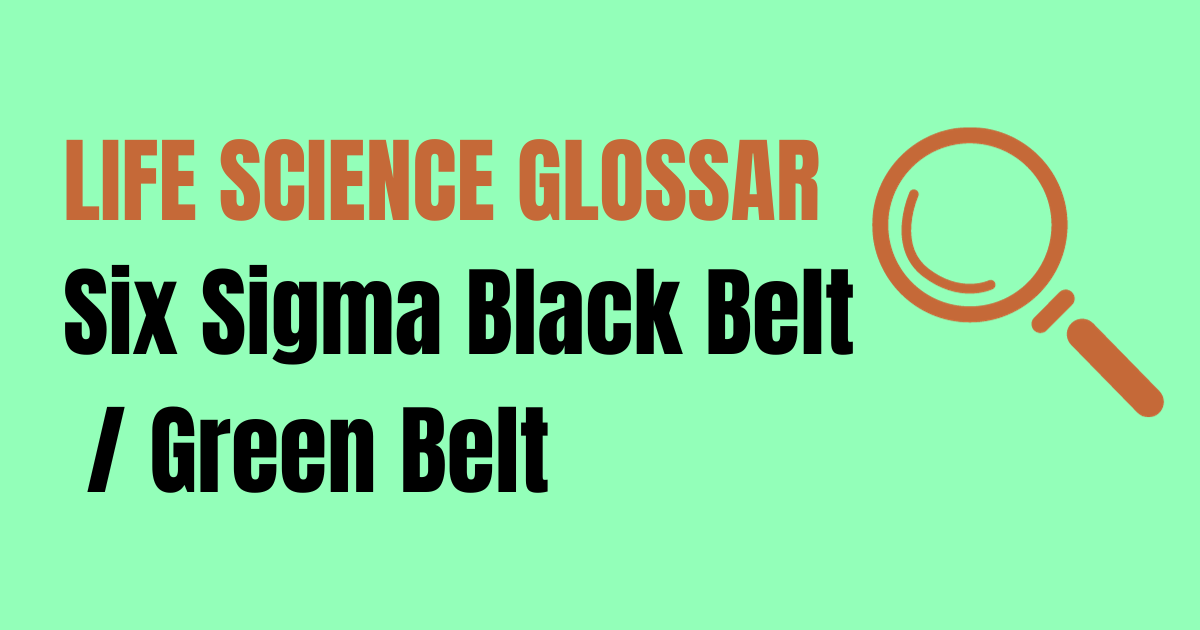 Read more about the article Six Sigma Black Belt / Green Belt